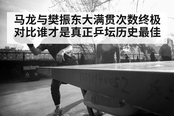 马龙与樊振东大满贯次数终极对比谁才是真正乒坛历史最佳