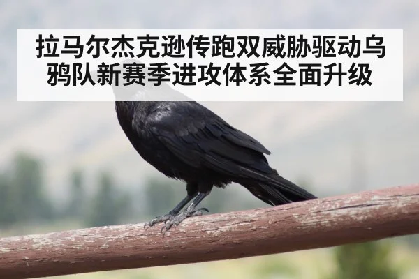 拉马尔杰克逊传跑双威胁驱动乌鸦队新赛季进攻体系全面升级