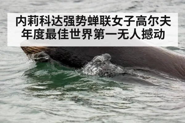 内莉科达强势蝉联女子高尔夫年度最佳世界第一无人撼动